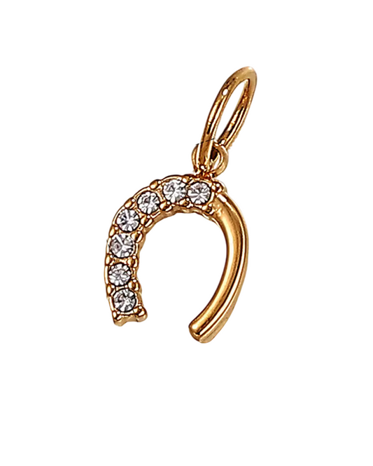 Charm ferro di cavallo in acciaio con zirconi