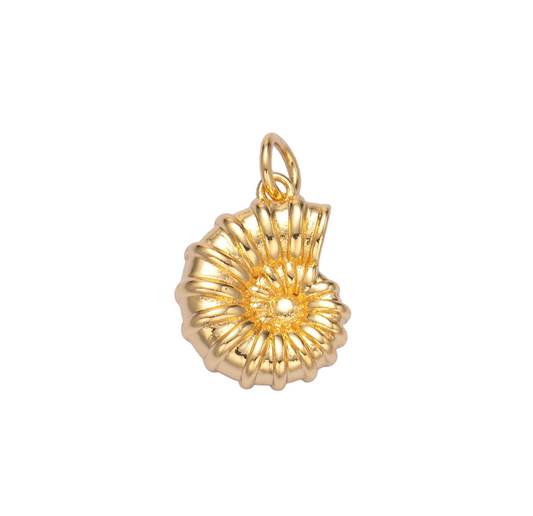 Charm conchiglia