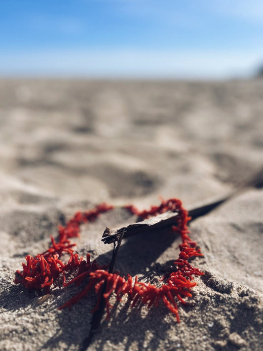 Collana con rami di corallo rosso naturale