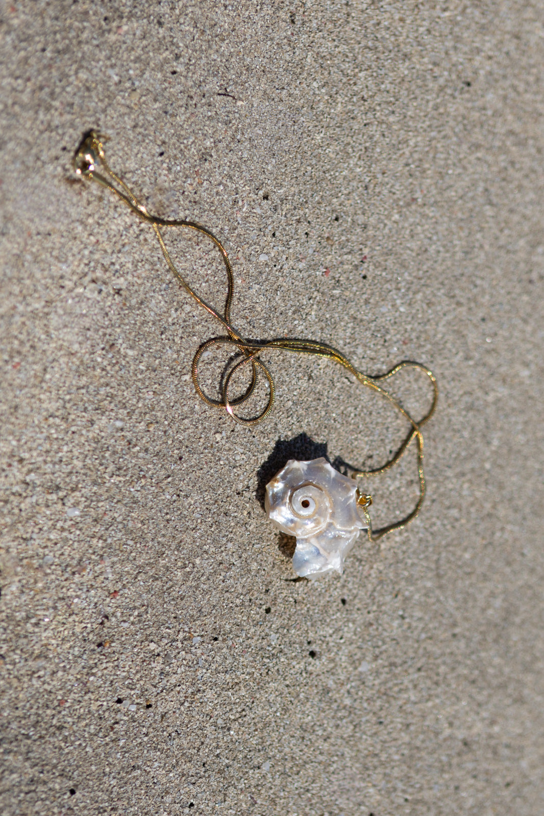 Collana in acciaio con maxi conchiglia
