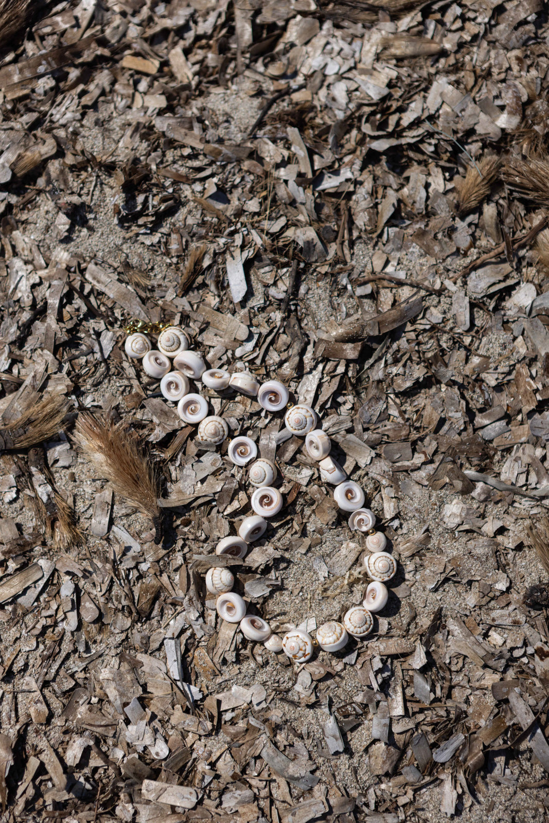 Collana con conchiglie naturali piatte