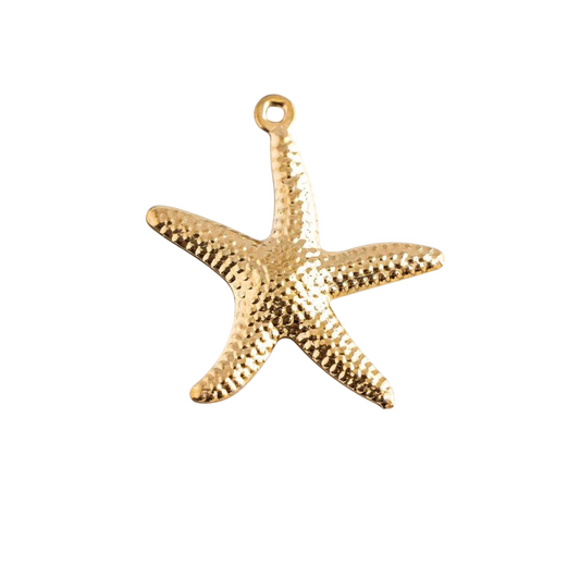 Charm stella marina
