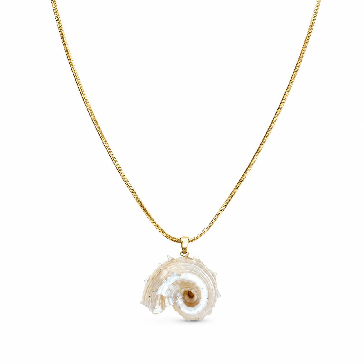Collana in acciaio con maxi conchiglia