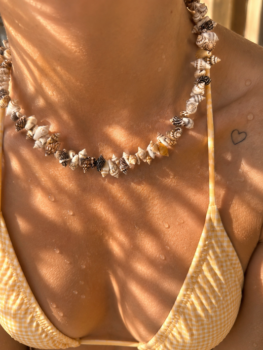 Collana con conchiglie naturali