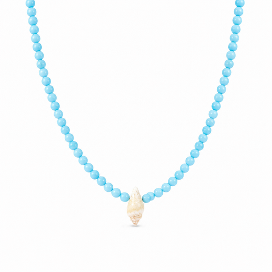 Collana in pasta di turchese e conchiglia