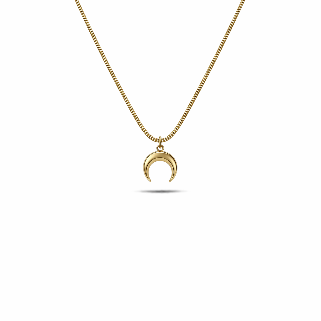 Collana in argento 925 con mezzaluna in acciaio