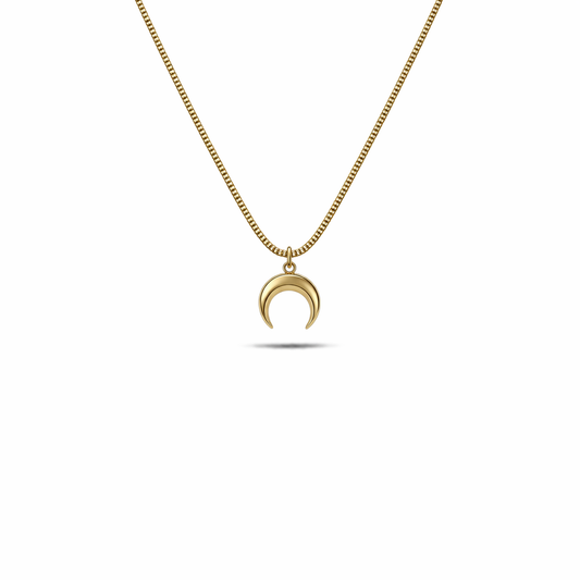 Collana in argento 925 con mezzaluna in acciaio